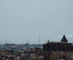 Cati caï¿½e
