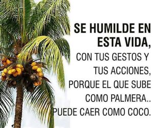 Ezequiel