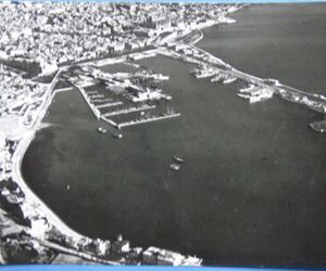 Mallorquin1950