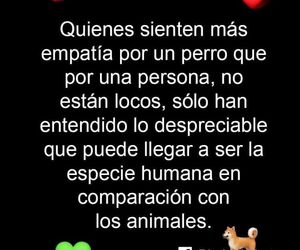 Ines