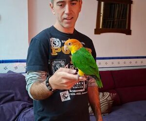 Cristobal