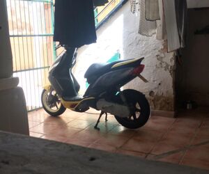 Xisco torrens
