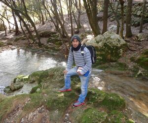 gines