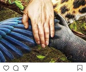 Pedro