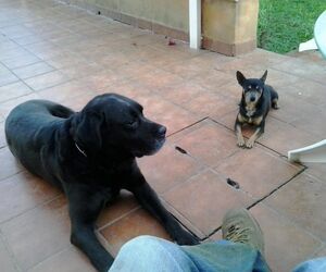 Jose
