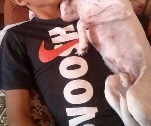 jaime