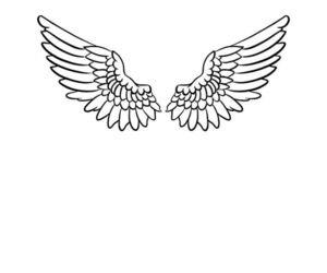 an