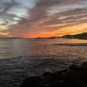 Catalina