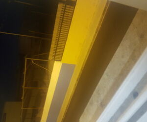 Xmp