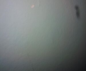 jhon