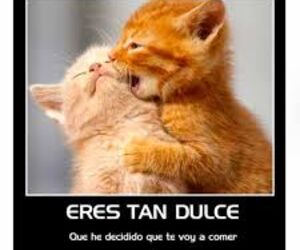 Tania