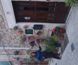 Mayito