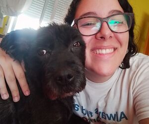 Bea