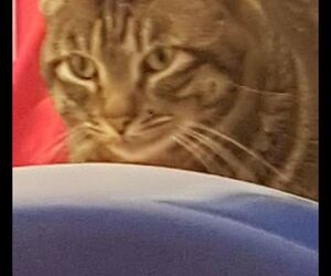 Kuki