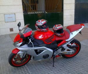 marijoseegea30