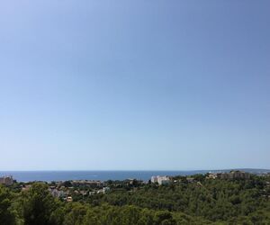 Mircea