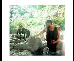 mallorqui_  