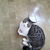 Amal