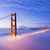 California