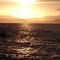 snorkel nocturno  y sunset  con cena- tapper en Maioris 