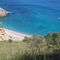 coll baix