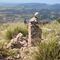 Ruta senderista: Puig de na Fí tima 