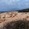 Excursión de cap de ses Salines a Colonia de sant Jordi