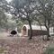 GR 221 Esporles - Valldemossa 