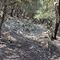 Ruta senderista: Serra de son Moragues 