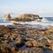 Ruta senderista:  Punta del Toro - Cala Figuera - Portals Vells