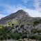 Excursión: Puig de ses Vinyes 