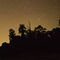 Perseidas