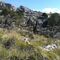 Ruta senderista: Sa Coma Clova 