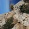 Excursión de la ermita de la Victoria a Penya Rotja y la Talaia