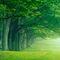 Mindfulness prácticas para principiantes con arteterapia