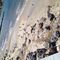 Domingo en playa de Alcudia más de 55 años