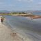 Litoral de Alcúdia y paella en el Puerto de Alcúdia 