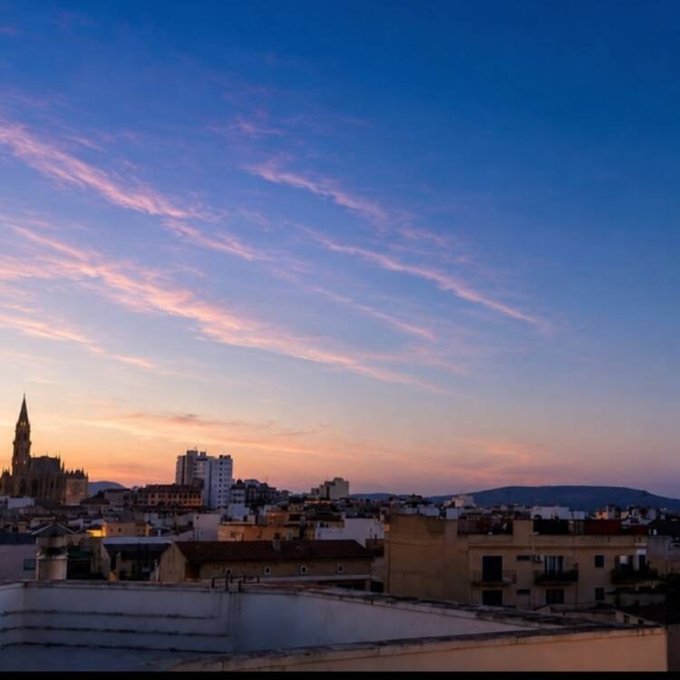 Foto de perfil de Marian