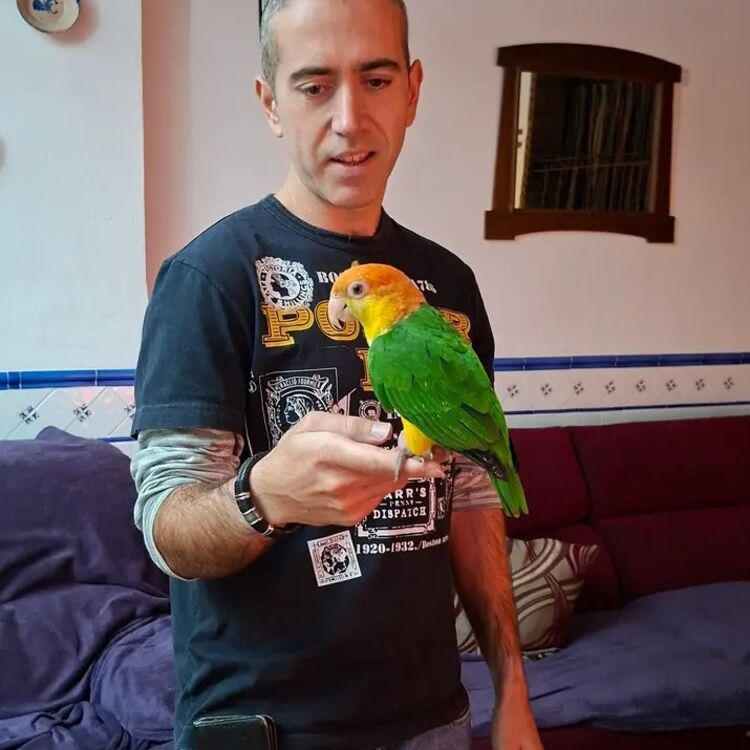 Foto de perfil