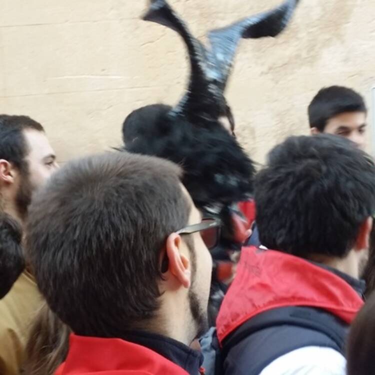 Foto de perfil
