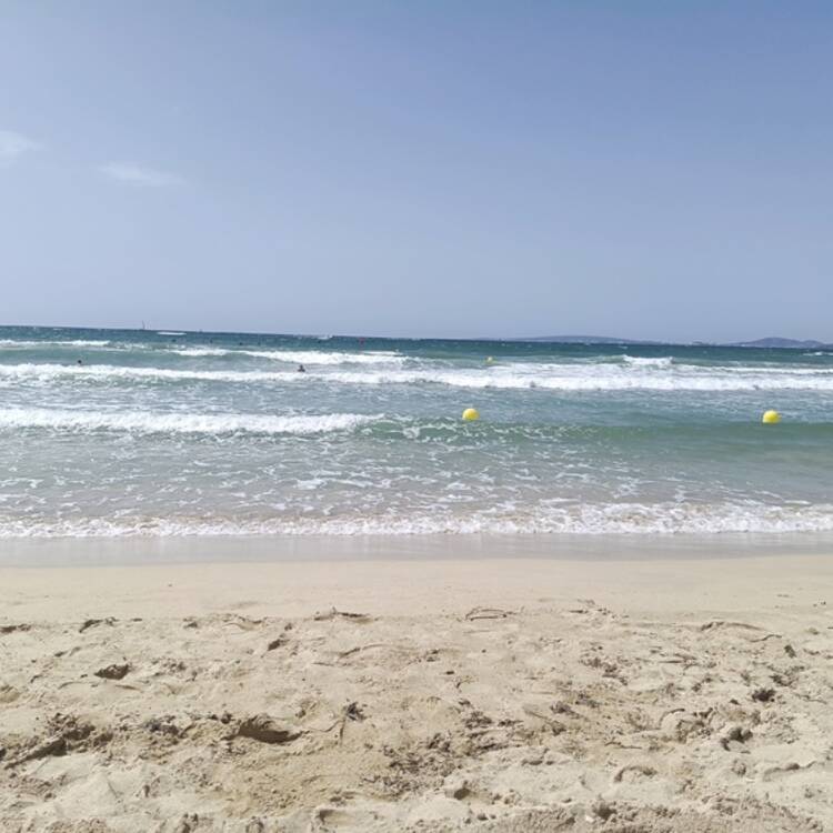 Foto de perfil de laura