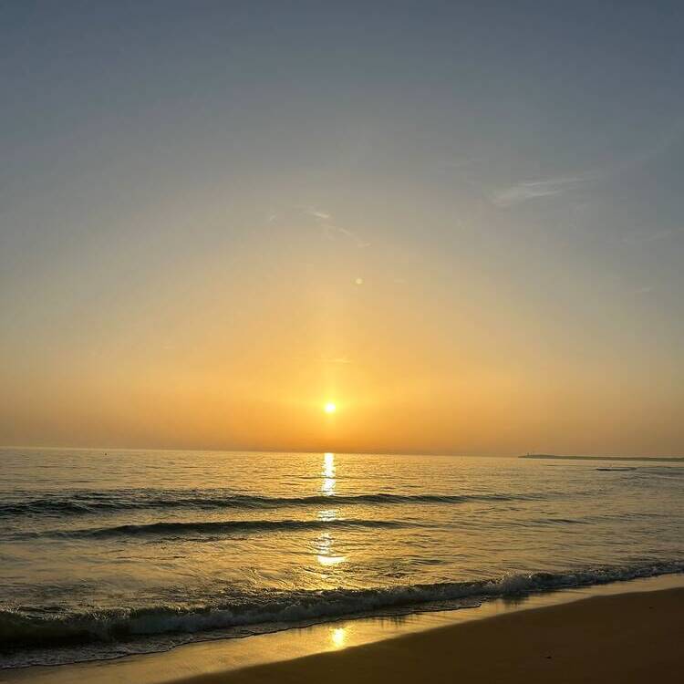 Foto de perfil de Beatriz