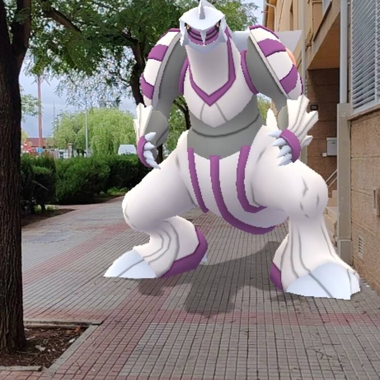 Foto de perfil