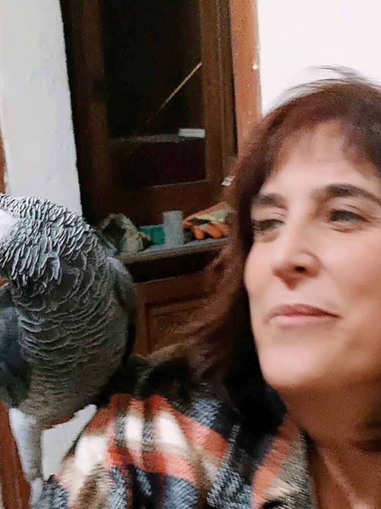 Foto de perfil de eloisa